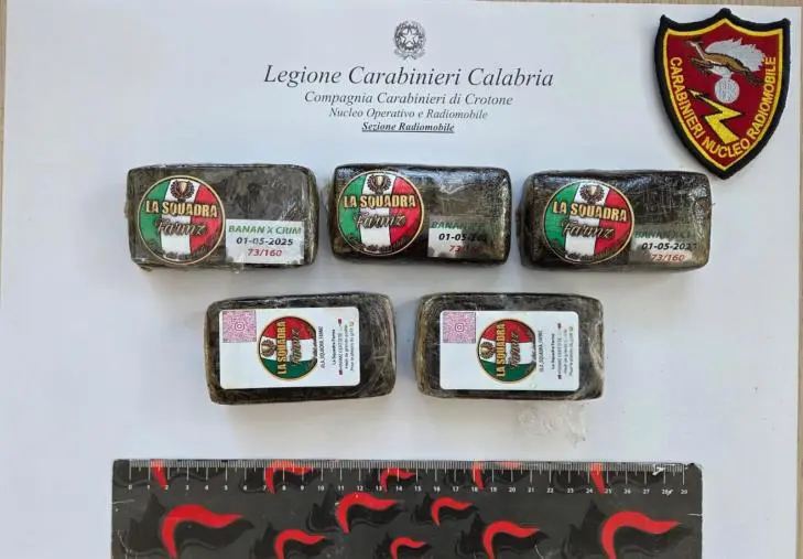 Droga nascosta sotto le macerie in un edificio abbandonato a Crotone, sequestrata e distrutta 