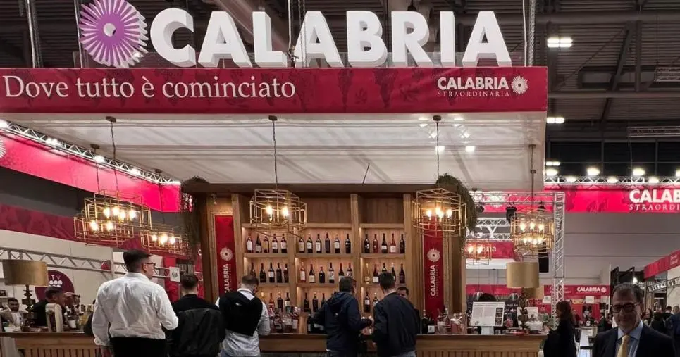 La Calabria del vino tra identità e risultati, Gallo: “La Regione continuerà a sostenere il comparto con interventi mirati”