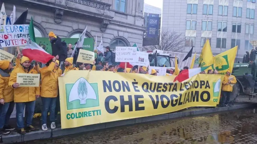 La Coldiretti a Bruxelles: stop import sleale, più fondi agli agricoltori e reciprocità delle regole