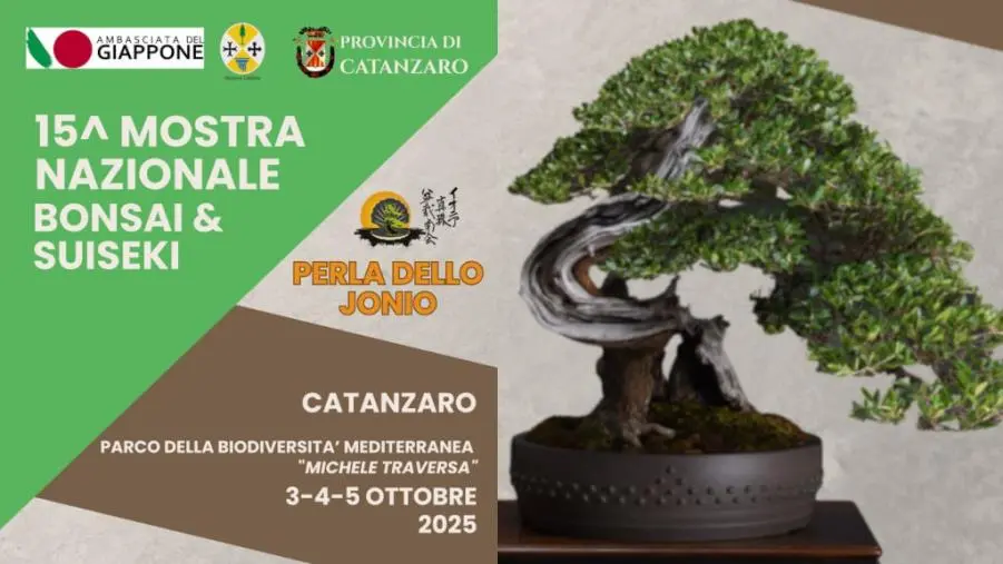 Al Parco della Biodiversità “Michele Traversa” la XV° Edizione della Mostra Nazionale dell’Arte Bonsai e Suiseki