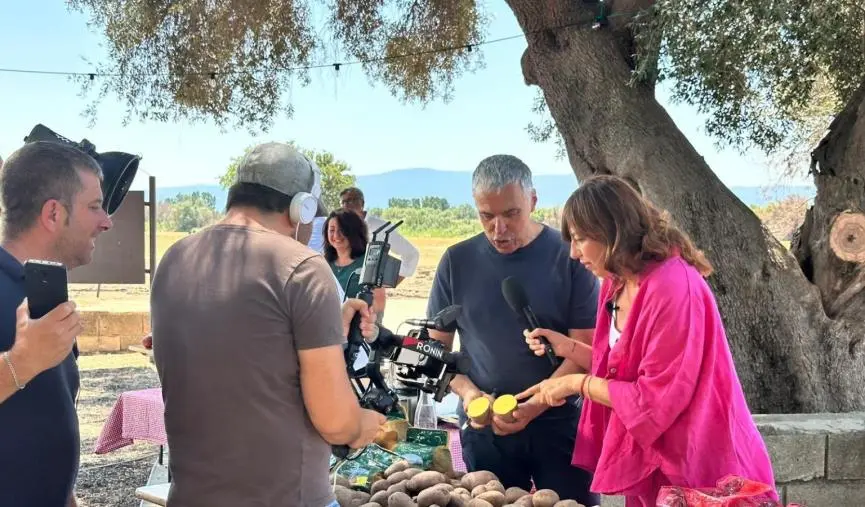 images Camper, Linea Verde e Radio2 Rai: Calabria protagonista con oltre 7 milioni di spettatori