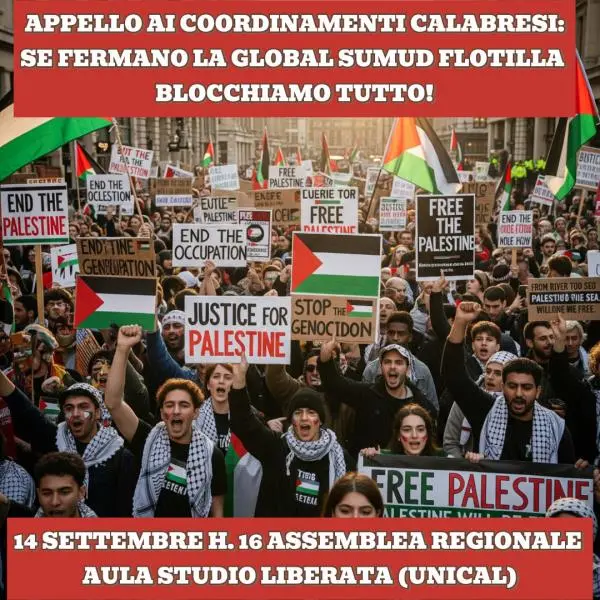 Il Coordinamento Unical per la Palestina si riunisce in assemblea: "Nessuno fermi la Global Sumud Flotilla"