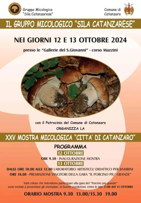 images XXV Mostra micologica "Città di Catanzaro": appuntamento nella Galleria del San Giovanni 