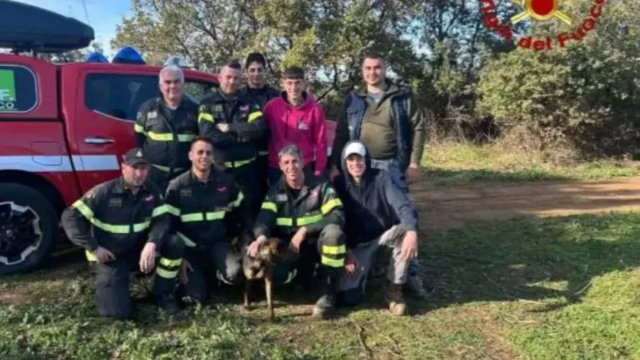 images Cucciolo di segugio maremmano precipita in un dirupo nel Vibonese, salvato dai vigili del fuoco
