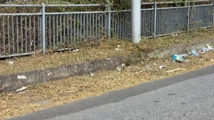 Catanzaro, Via Galiani sommersa dai rifiuti dopo il diserbo: il Comitato Jano lancia l’allarme
