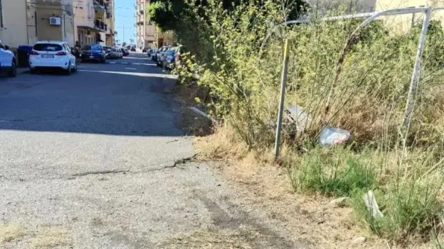 Via Forni e via Murano, 'Alleanza per Catanzaro': "Il verde non può essere gestito con superficialità"