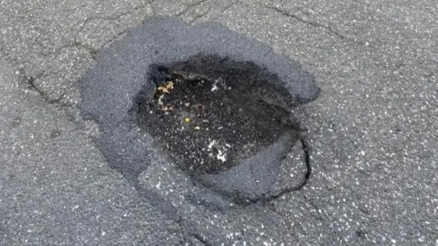 Catanzaro, la segnalazione di Costa: "Una buca in via Molise davanti la fermata scuolabus mette a rischio la sicurezza dei bimbi"