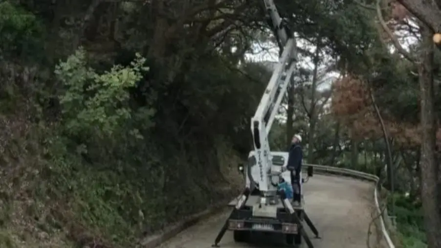 Catanzaro, iniziati i lavori di messa in sicurezza del Parco Li Comuni 