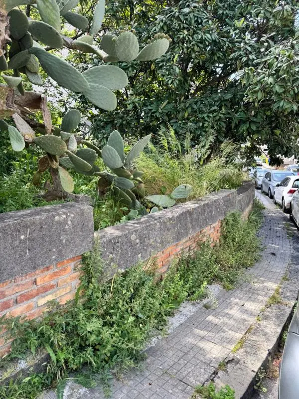 Alleanza per Catanzaro: "Anche la zona nord è in preda al degrado e all’incuria"