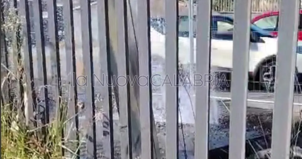 Catanzaro, danneggiata la condotta idrica durante i lavori Enel: disagi in viale Magna Graecia
