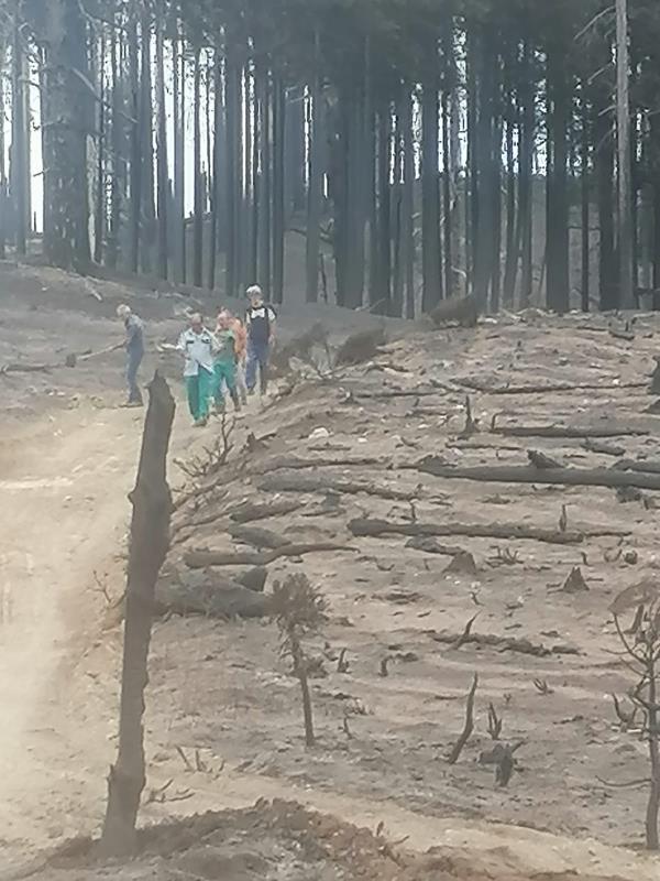 images Domato l'incendio che da giorni interessa con insistenza l'Area Grecanica Reggina