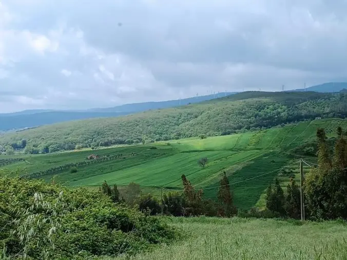 Girifalco, recupero di materiale archeologico in località Bosco Valentino