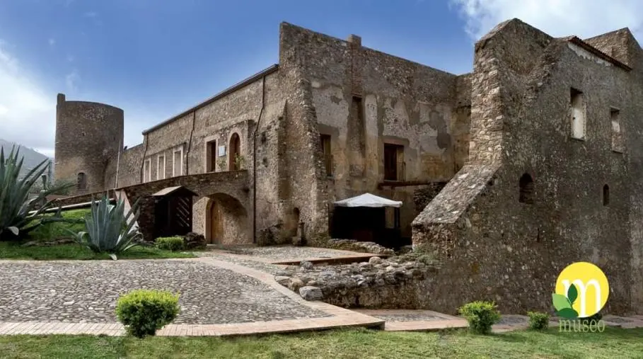 Museo del Cedro di Santa Maria del Cedro: orari estivi e percorsi esperienziali