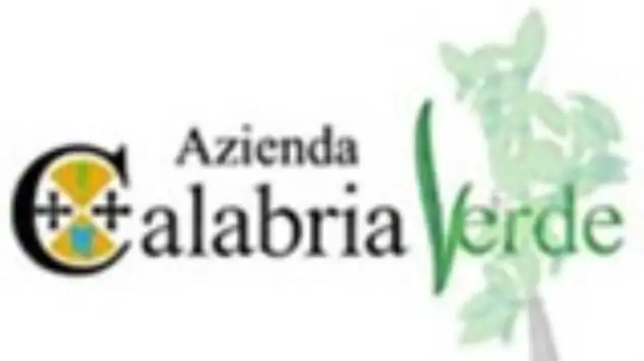 images Calabria Verde approva il Bilancio di previsione  