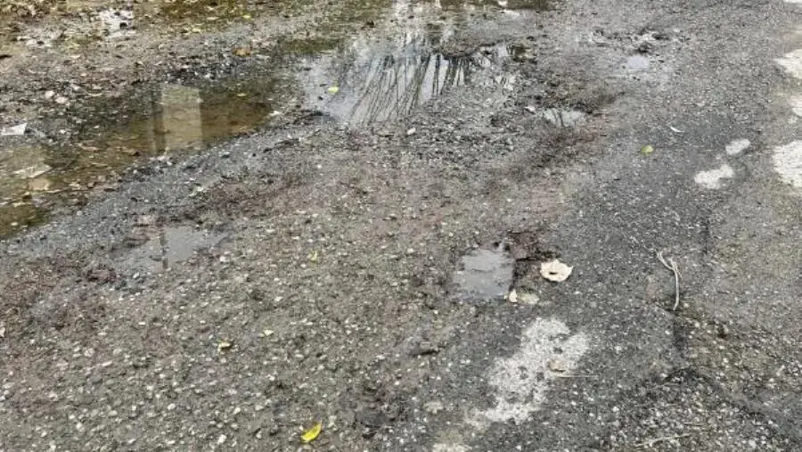 Villaggio Carrao di Cropani Marina: strade dissestate da mesi e il Comune non interviene 