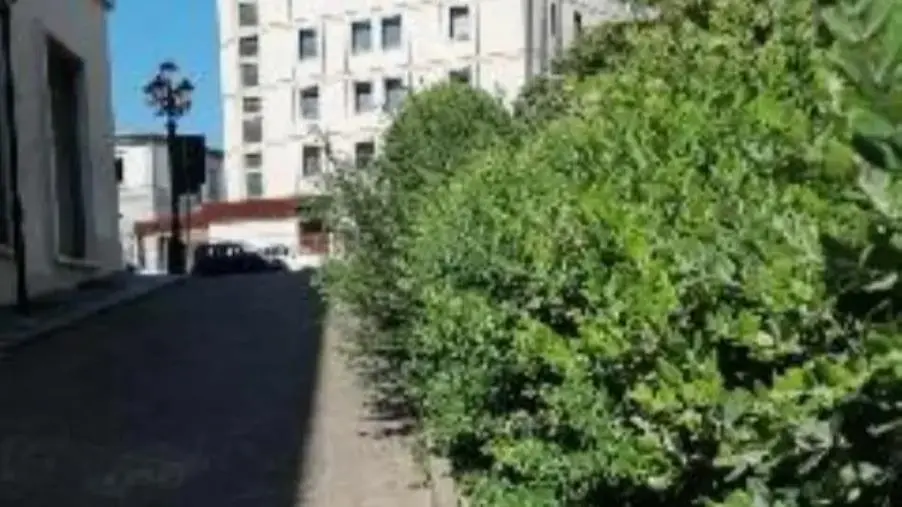 Degrado nel centro di Catanzaro, la segnalazione di un cittadino