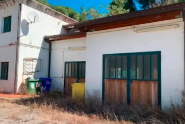 Tragedia a Catanzaro, sconto di pena in Appello per lo stalliere accusato di duplice omicidio