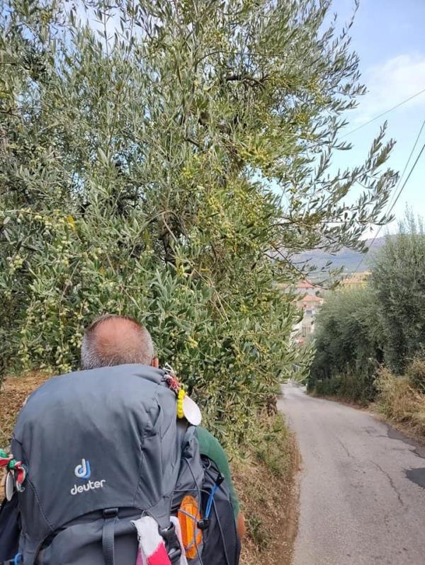 images Dalla provincia cosentina a Roma per incontrare il Papa: il viaggio e lo storytelling di don Santino Borrelli