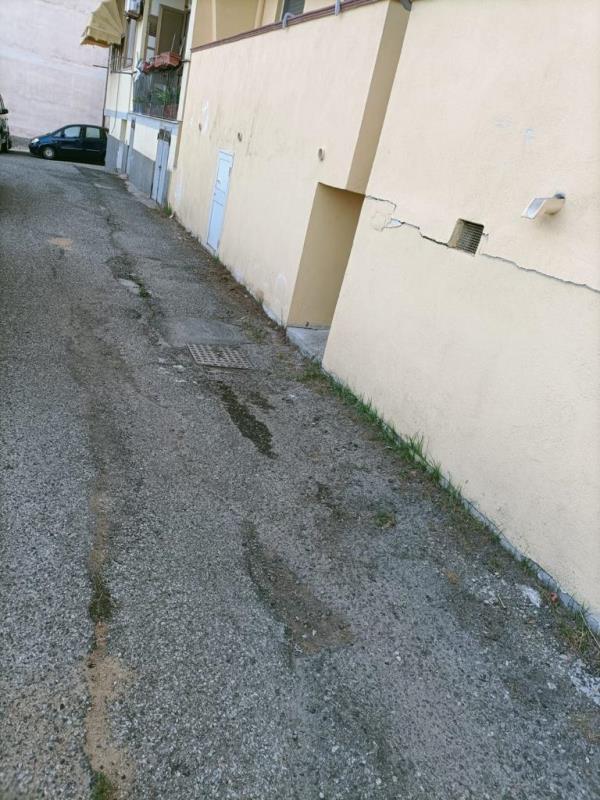 images Rotundo (Fare per Catanzaro) denuncia il degrado della strada di via Siciliani 