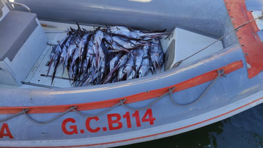 images Pesca di frodo nel Reggino, la Guardia Costiera sequestra strumenti illegali e prodotti ittici