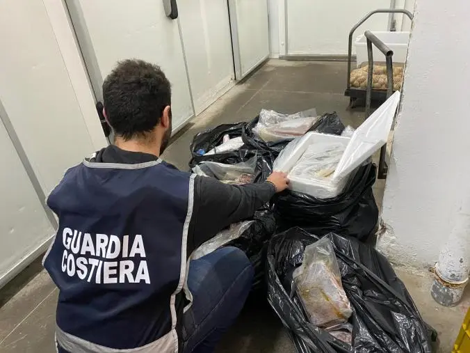 Vasta operazione della Guardia Costiera in Calabria: sequestrate tonnellate di prodotti ittici