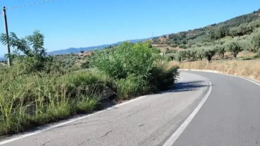 Nel soveratese erba alta e strade dimenticate: viaggio nel cuore dell’abbandono