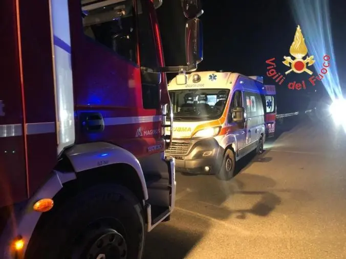 images Tragedia sfiorata nel Catanzarese, auto finisce contro grosso cinghiale: due in ospedale