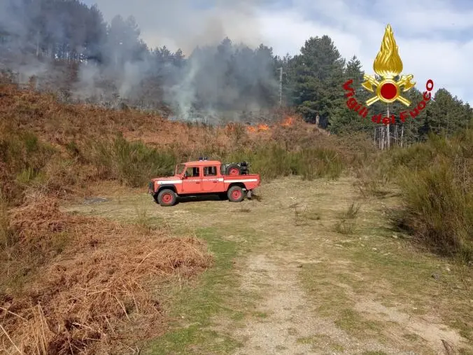 Numerosi incendi in Calabria, tutti gli interventi dei vigili del fuoco