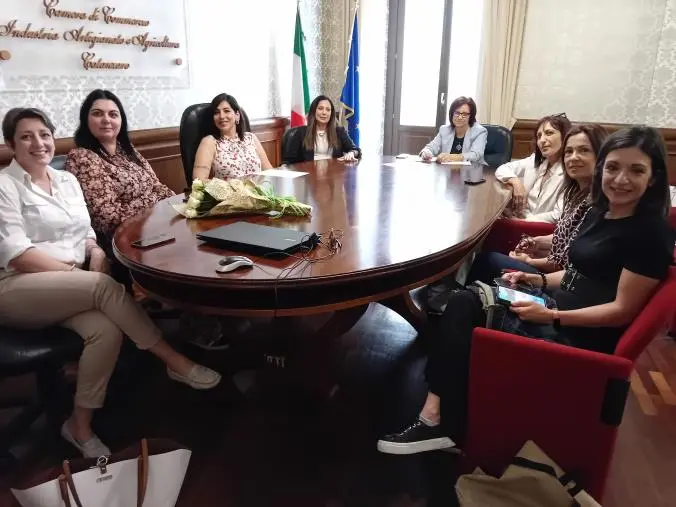 images Catanzaro, 
l’imprenditrice Elena Bitonte entra nel comitato della Camera di Commercio