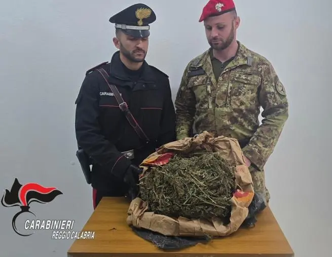 Roccaforte del Greco, sequestrato un chilo e mezzo di marijuana