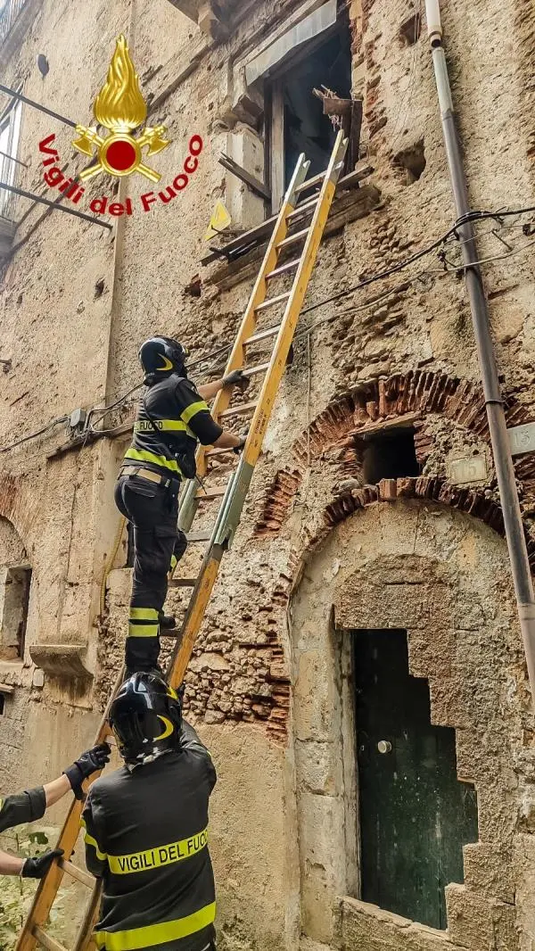 Cosenza, crollano i solai di uno stabile in centro: vigili del fuoco impegnati a salvare i cani 