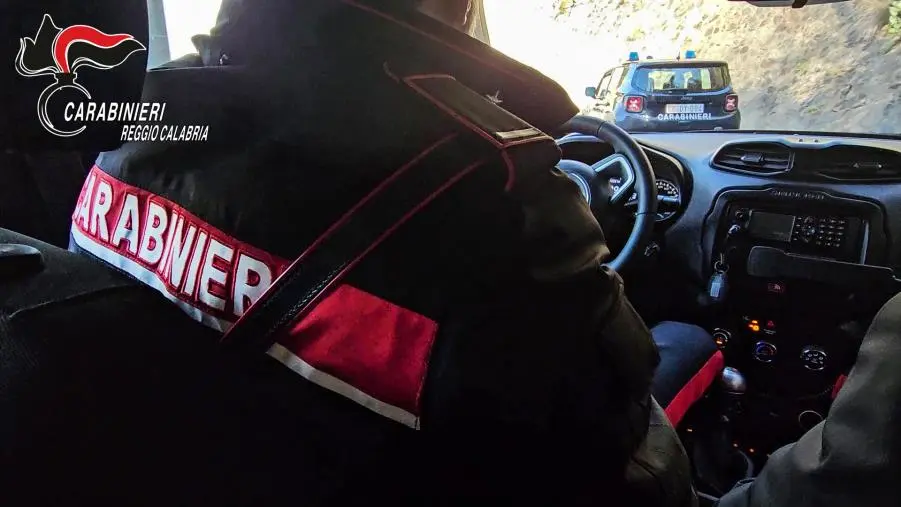 Controlli serrati nel Reggino: alimenti sequestrati, sospensione attività e sanzioni 