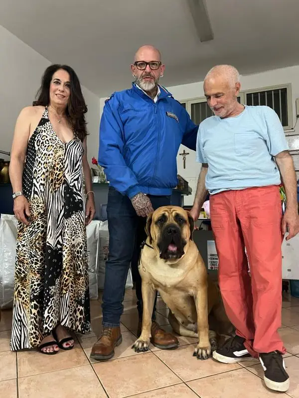 E’ Rachele di Casa Villari, per tutti Carlotta, il nuovo giovane Campione italiano di bellezza - Enci della razza Mastiff
