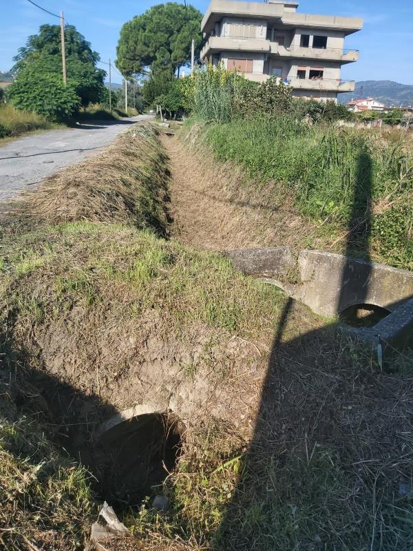 images Il Consorzio di Bonifica di Catanzaro a lavoro per la manutenzione del territorio: ripulito un fosso a Davoli