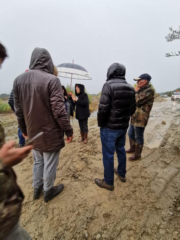 Partiti i lavori sull'argine del Crati in località Thurio 