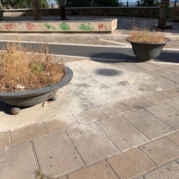 images Decoro urbano. Stefano Veraldi: "Un'offesa quei rabberciamenti alle basole di pietra ai Giardini di S. Leonardo"