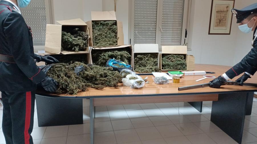 Jacurso, scoperto un deposito per la coltivazione di marijuana: 2 arresti