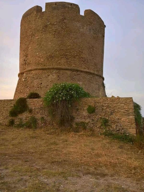 images Il caso. A Isola Capo Rizzuto l’erosione rischia di portare via la Torre Vecchia