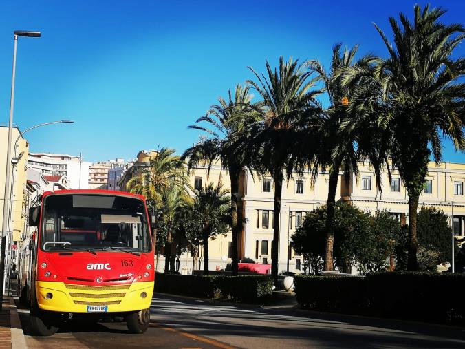 images Anche a Catanzaro da lunedì 6 dicembre al via le verifiche green pass sui bus
