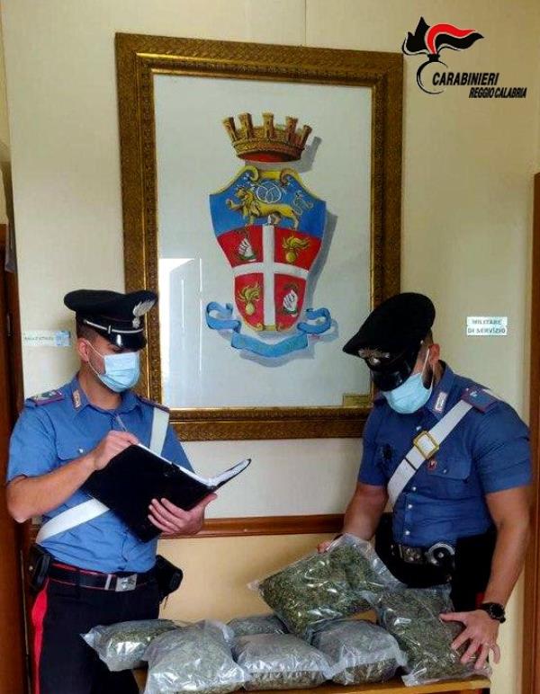 Scovata una piantagione indoor a Rosarno e mezzo chilo di marijuana: 3 ragazzi in manette 