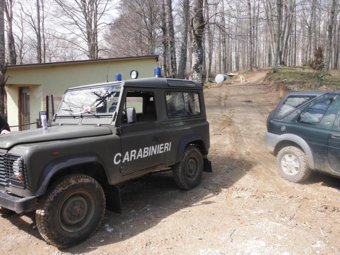 images Bagaladi. In 5 su un camion con rimorchio e trattore sorpresi a rubare piante di leccio in un bosco privato: arrestati
