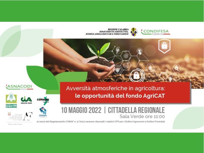 images AgriCat sostiene  le aziende agricole per le perdite di fatturato a causa delle avversità atmosferiche
