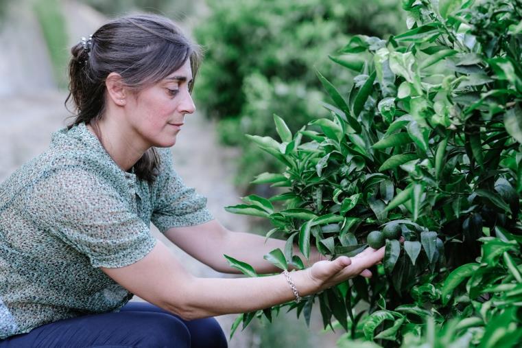 images Le Valli del Colagnati e Coriglianeto sbarcano sui media nazionali, protagonista la biodiversità di Corigliano Rossano 