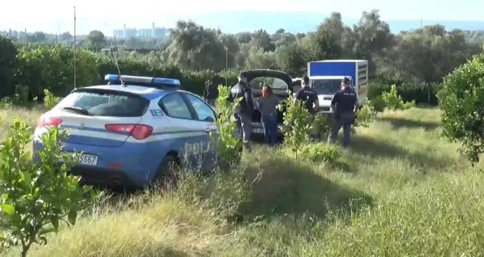 images Capolarato, i numeri dei risultati della Polizia a Gioia Tauro