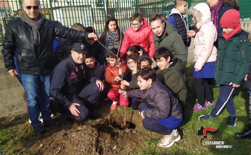 images I carabinieri forestali donano 120 piante e migliaia semi a 120 scuole