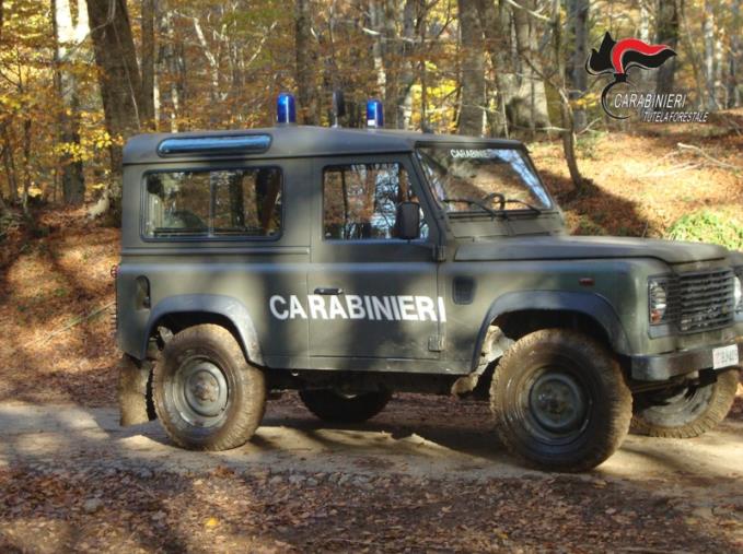 Due denunce e un sequestro di terreno, questo il risultato di un controllo della Forestale a Santa Domenica Talao