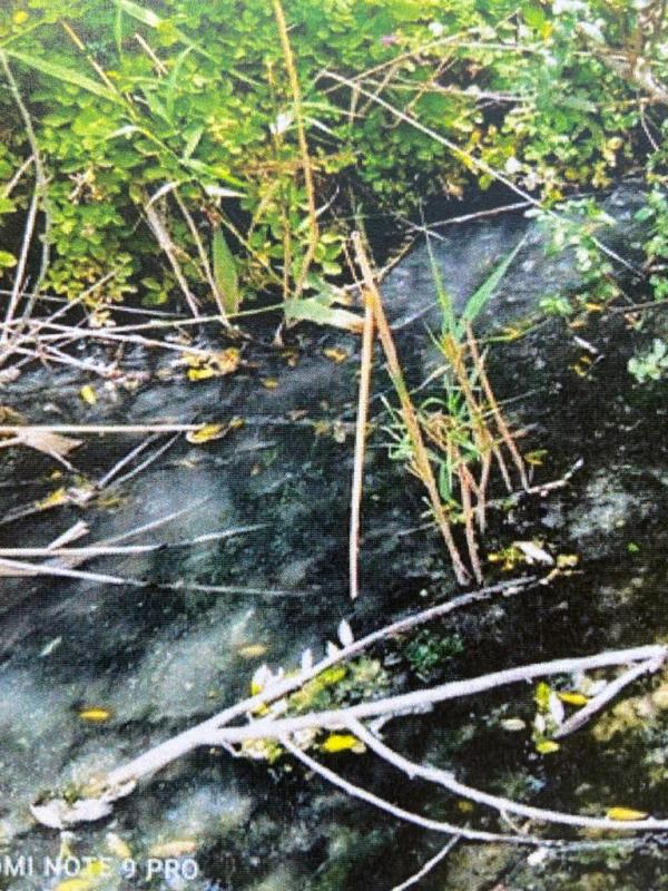 images Controlli ambientali a Catanzaro, in 14  denunciati per scarichi domestici nel fiume Castace