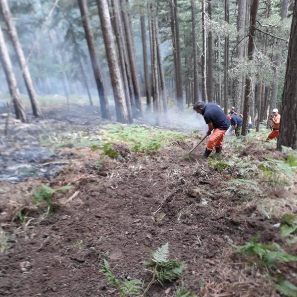 “Calabria Verde”, l’importanza di realizzare fasce parafuoco prima e durante gli incendi