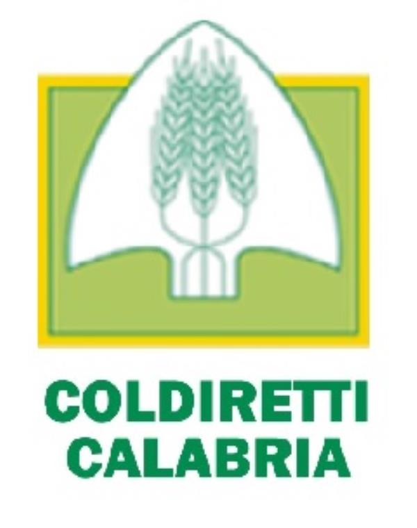 images Coldiretti Calabria: la spesa alimentare nel 2021 al top nel decennio orientata in un preciso stile alimentare