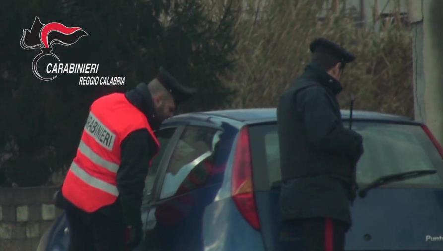 images Controlli antidroga nella Piana di Gioia Tauro: scovata dai carabinieri una piantagione di canapa a Rosarno 